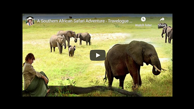 A Southern Africa Adventure - 2014 Travelogue PART 4 - ZIMBABWE - Ruckomechi Camp
