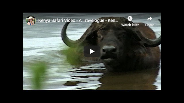 Kenya Safari Video - Africa Travelogue Part 5 | Lake Nakuru