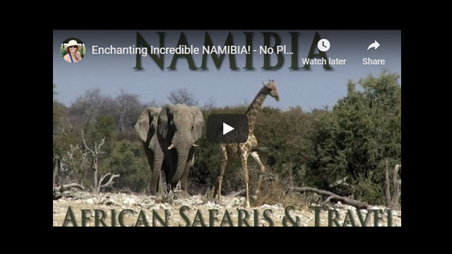 A General Overview of Namibian Splendour and Wildlife!