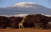 The East African Exploreri -  Budget Safaris in East Africa - www.photo-safaris.com 