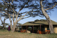 Lemala Serengeti Camp
