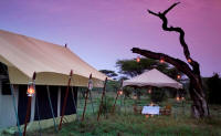 Serengeti Under Canvas - Honeymoon Safaris in Tanzania and Zanzibar Island - www.photo-safaris.com 