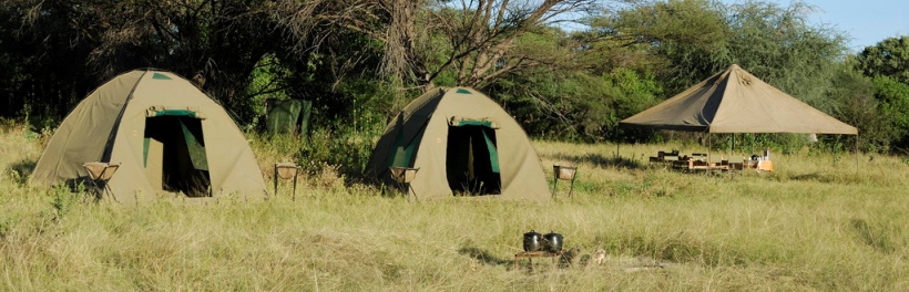 The Best of Botswana Safari (14 Days) - www.photo-safaris.com