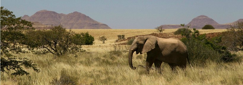 Okahirongo Elephant Lodge, Kaokoland, Namibia - www.africansafaris.travel