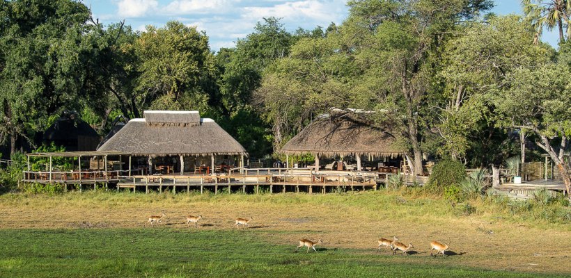 Mombo Camp with Wilderness Safaris - www.africansafaris.travel