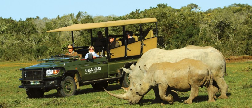 Shamwari Game Reserve (Eastern Cape) South Africa -  www.africansafaris.travel