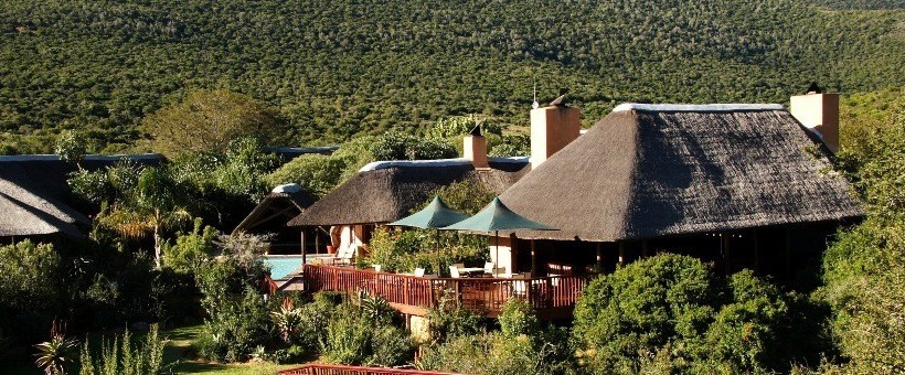 Shamwari Game Reserve (Eastern Cape) South Africa -  www.africansafaris.travel