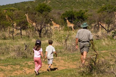Game Walk at Ants Hill - www.africansafaris.travel
