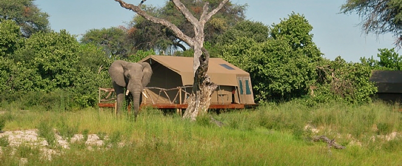 Camp Savuti - www.africansafaris.travel