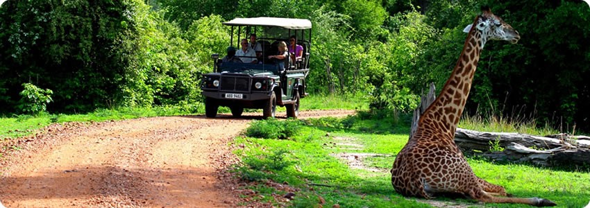 Croc Valley Camp (South Luangwa National Park) Zambia  - www.africansafaris.travel
