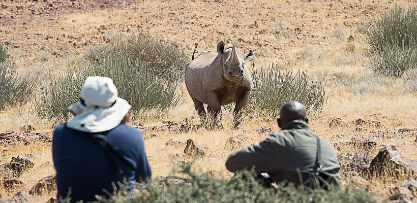Desert Rhino Camp with Wilderness Safaris - www.africansafaris.travel