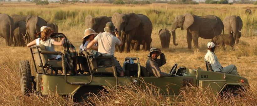 Elephant Valley Lodge, Chobe - www.africansafaris.travel