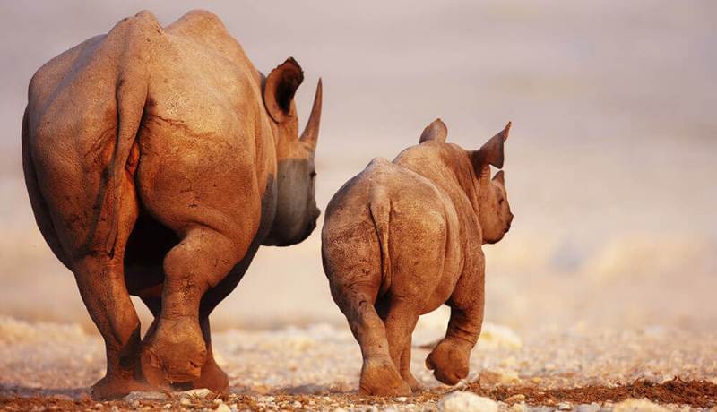 Namibia:- The Full Works! (12 Days) - www.africansafaristravel