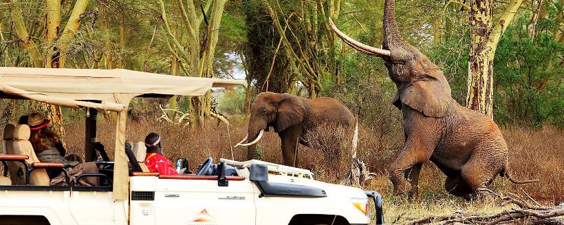 Finch Hatton's Camp (Tsavo West National Park) Kenya - www.africansafaris.travel