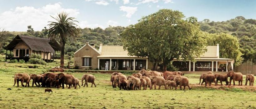 Gorah Elephant Camp, Addo National Park, South Africa - www.africansafaris.travel