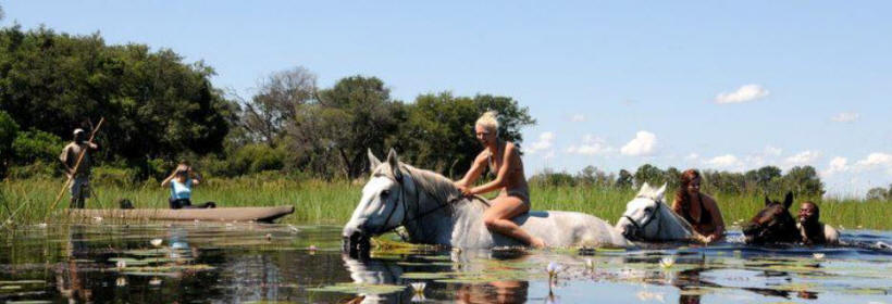 African Horseback Safaris - www.africansafaris.travel