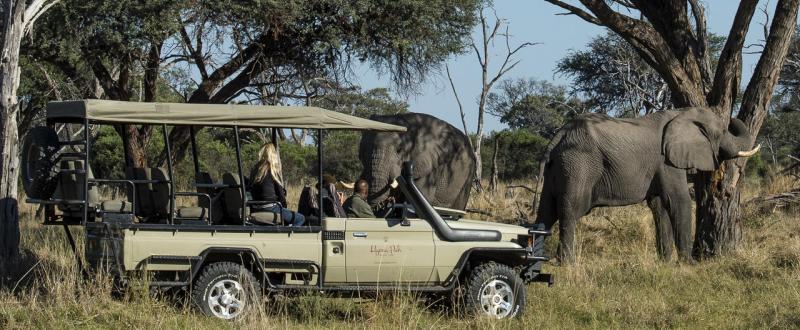 Hyaena Pan Camp (Moremi Game Reserve) Botswana - www.africansafaris.travel