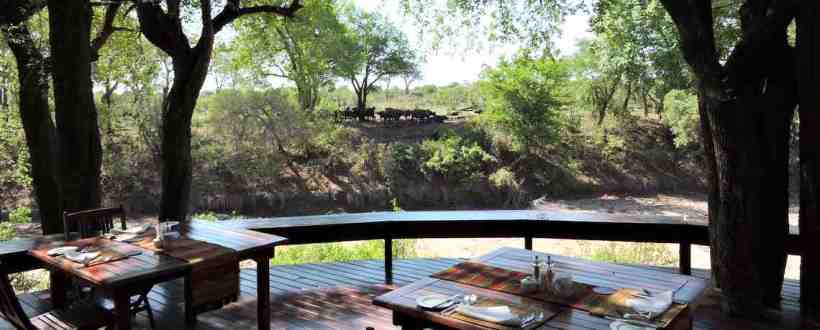 Imbali Safari Lodge (Northern Kruger National Park, Limpopo Province) South Africa - www.africansafaris.travel