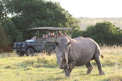Game drive at Lalibela Game Reserve (Eastern Cape) South Africa - www.africansafaris.travel