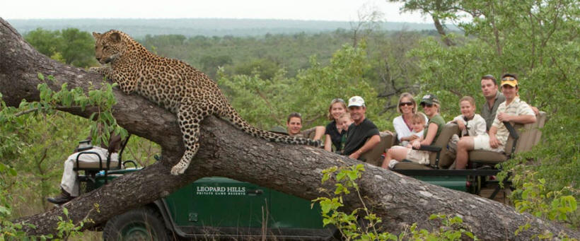 Leopard Hills Lodge - www.africansafaris.travel