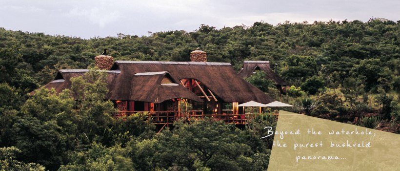 Makweti Safari Lodge (Welgevonden Game Reserve) South Africa - www.africansafaris.travel