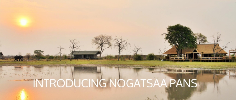 Nogatsaa Pans Lodge Lodge (Chobe National Park) Botswana - www.africansafaris.travel