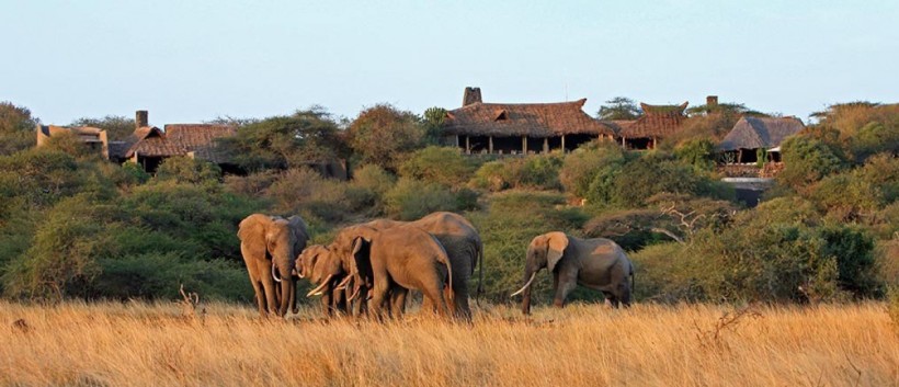 Ol Donyo Lodge (Amboseli National Park / Chyulu Hills Region) Kenya - www.africansafaris.travel