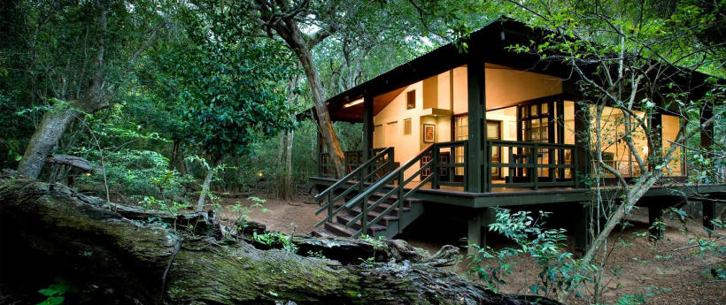 Phinda Forest Lodge (Phinda Private Reserve, KwaZulu, Natal) South Africa - www.africansafaris.travel