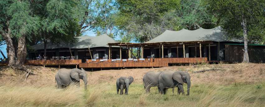 Ruckomechi Camp - Picture by Wildernerss Safaris - www.africansafaris.travel