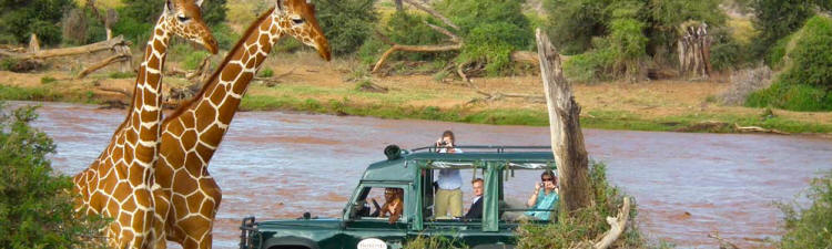 Samburu Intrepids (Samburu Game Reserve) Kenya - www.africansafaris.travel