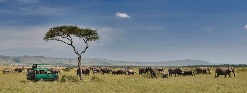 The Simba Safari  - Tanzania (7 Days) -  www.photo-safaris.com