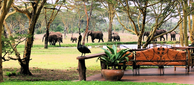 Sirikoi Lodge (Lewa Wildlife Conservancy, Laikipia) Kenya - www.africansafaris.travel
