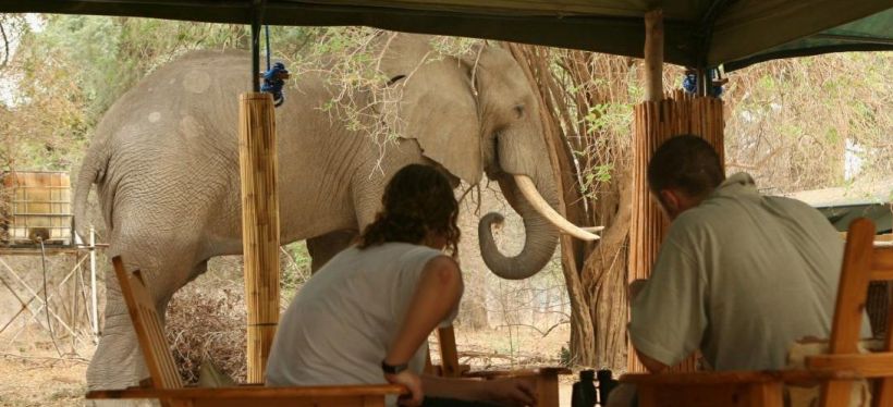 Zimbabwe Luxury, Water and Wilderness Safari (10 Days) - www.photo-safaris.com