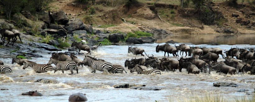 Tipilikwani Tented Camp (Masai Mara Game Reserve) Kenya - www.africansafaris.travel