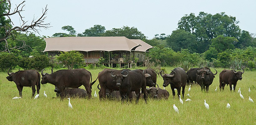 Toka Leya Camp (Mosi oa Tunya National Park, Livingstone) Zambia with Wilderness Safaris - www.africansafaris.travel