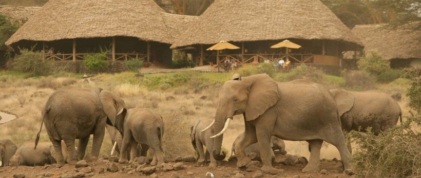Tortilis Camp (Amboseli National Park) Kenya - www.africansafaris.travel