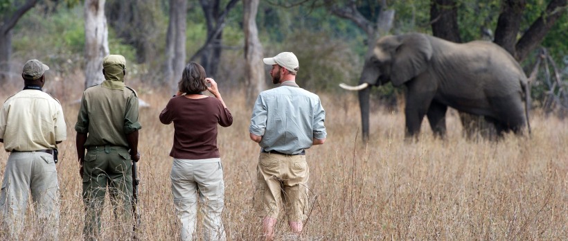 The Luangwa Encounter Walking Safari (9 Days) - www.photo-safaris.com