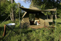 Highlights of Botswana SafariBudget Safaris in Botswana - www.photo-safaris.com